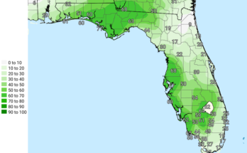 Thunderstorms, Heavy Downpours For South Florida