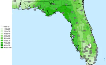 Thunderstorms, Triple-Digit Heat Index For South Florida