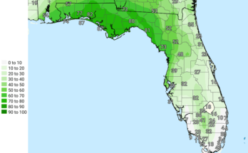 Heavy Rain, Flooding For Florida Panhandle and Big Bend
