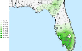 Thunderstorms, Heavy Downpours For South Florida