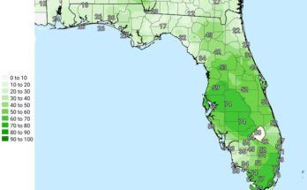 Hot, Thunderstorms For Tampa Bay, Southwest Florida