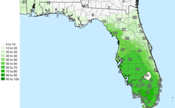 Thunderstorms, Heavy Rain For Central Florida