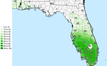 Thunderstorms, Heavy Rain, Gusty Winds For Tampa Bay, Southwest Florida