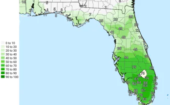 Strong Thunderstorms, Gusty Winds For North Florida