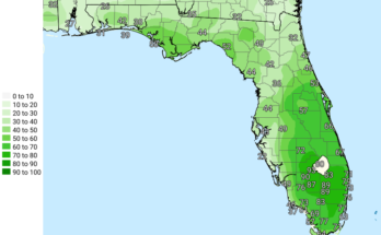 Strong Thunderstorms For North Florida