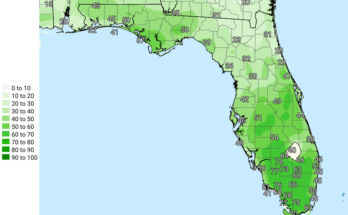 Thunderstorms, Heat Advisory For South Florida